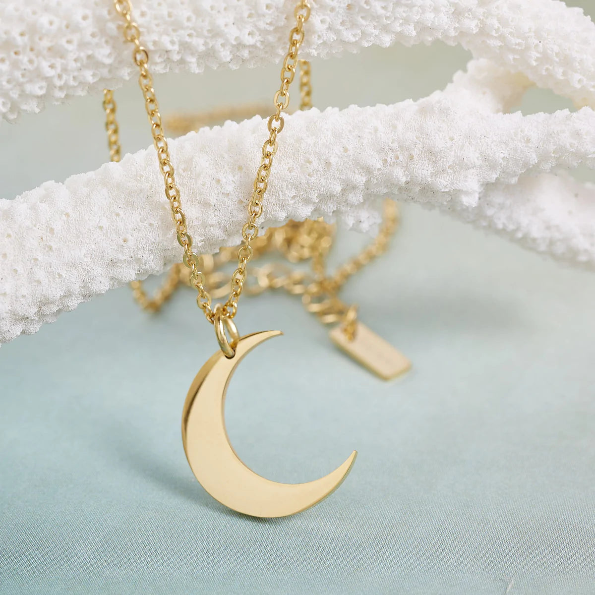 Crescent Moon Necklace